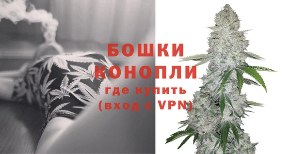 дживик Аркадак