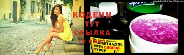 прущий лед Арсеньев
