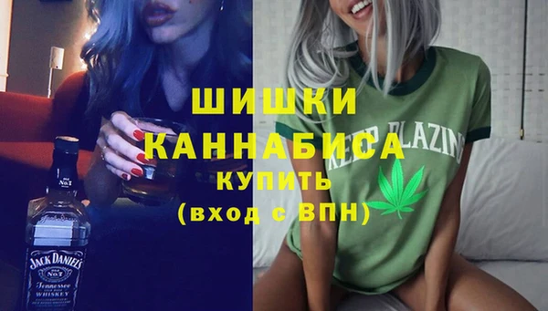 прущий лед Арсеньев