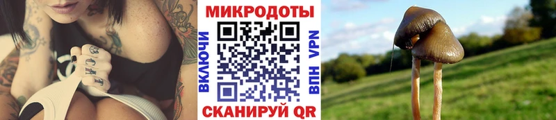 Псилоцибиновые грибы мухоморы  Благодарный 